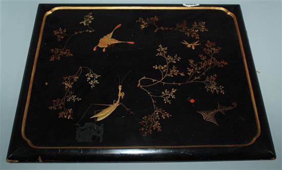 Lacquer panel